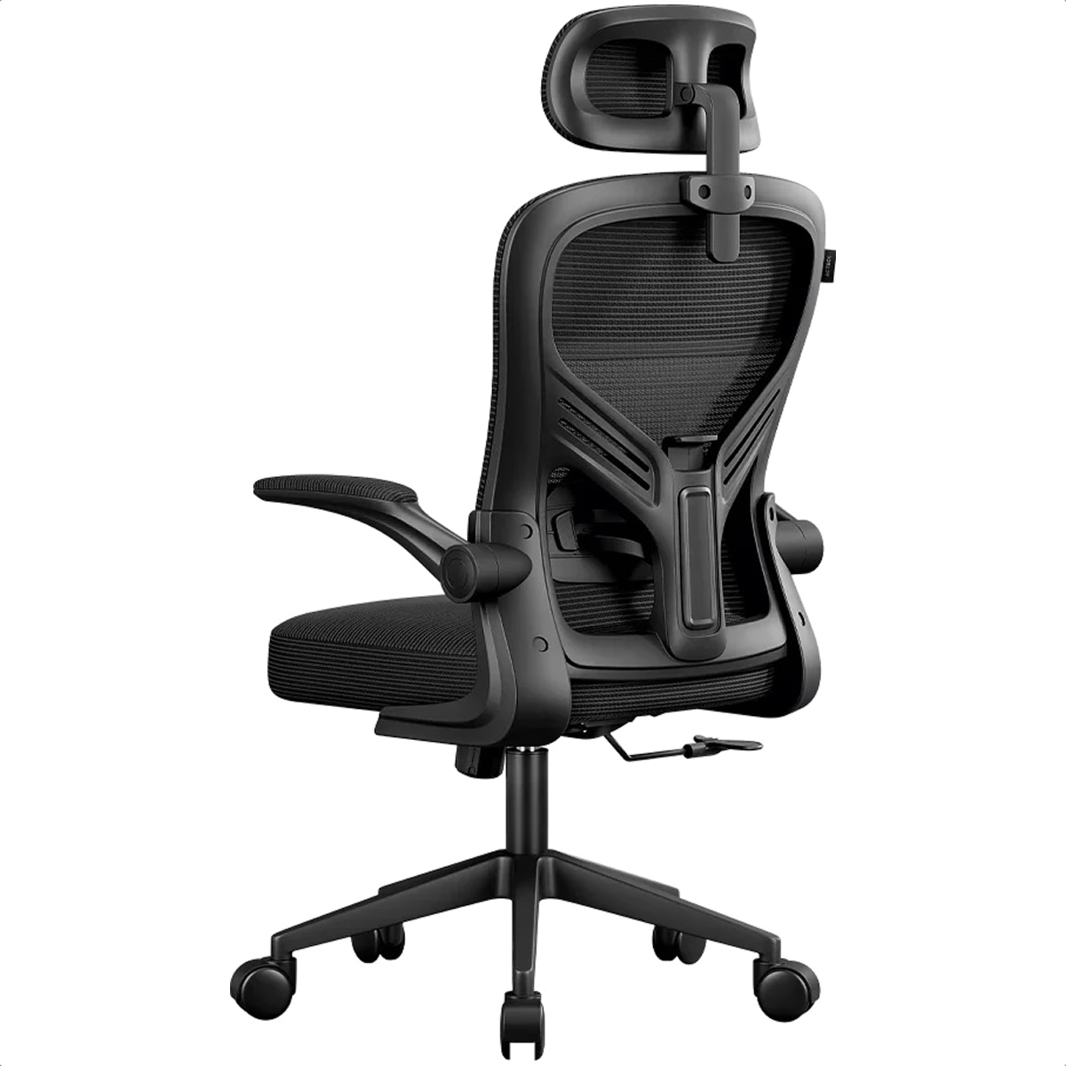 Zoom Image